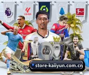 store-kaiiyun.com.cn APP（kaiyun）