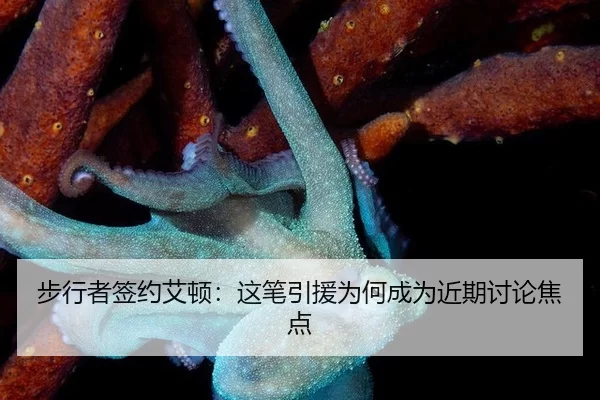 bu-xing-zhe-qian-yue-ai-dun-zhe-bi-yin-yuan-wei-he-cheng-wei-jin-qi-tao-lun-jiao-dian-2-852.jpg